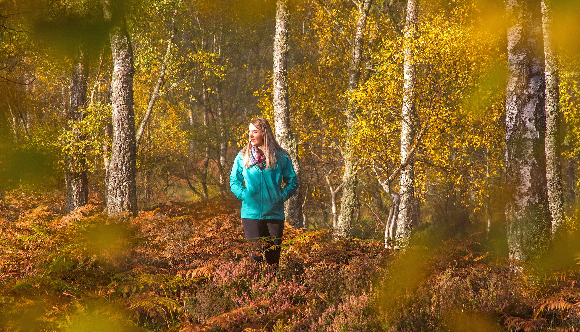 Cairngorms in Autumn - Rewilding Retreat - 